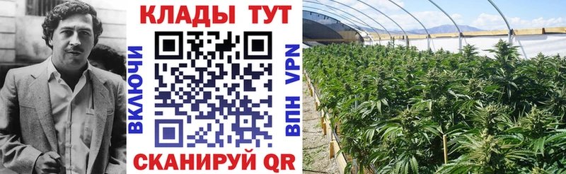 Купить наркотики Шахты КОКАИН  Канабис 