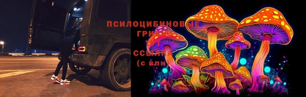 PSILOCYBIN Волоколамск