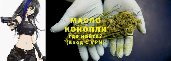 индика Лиски