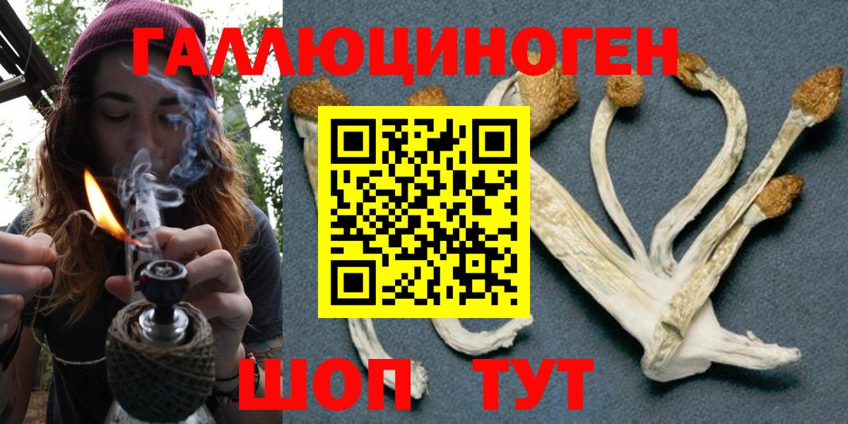 Псилоцибиновые грибы Cubensis  Галлюциногенные грибы Psilocybe  Вход с VPN  Шахты 
