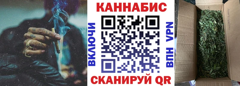 Конопля гибрид  Шахты 